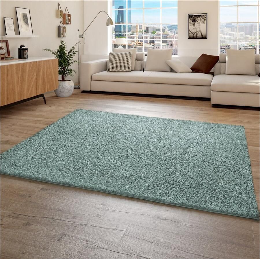 Paco Home Hoogpolig Vloerkleed Shaggy Voor Woonkamer Zacht Pluizig Bestendig Sterk 120x170 cm