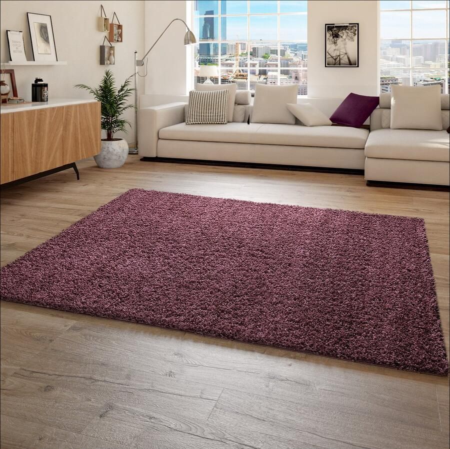 Paco Home Hoogpolig Vloerkleed Shaggy Voor Woonkamer Zacht Pluizig Bestendig Sterk 140x200 cm