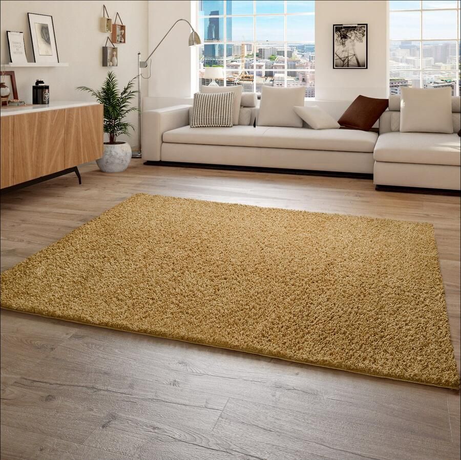 Paco Home Hoogpolig Vloerkleed Shaggy Voor Woonkamer Zacht Pluizig Bestendig Sterk 60x100 cm