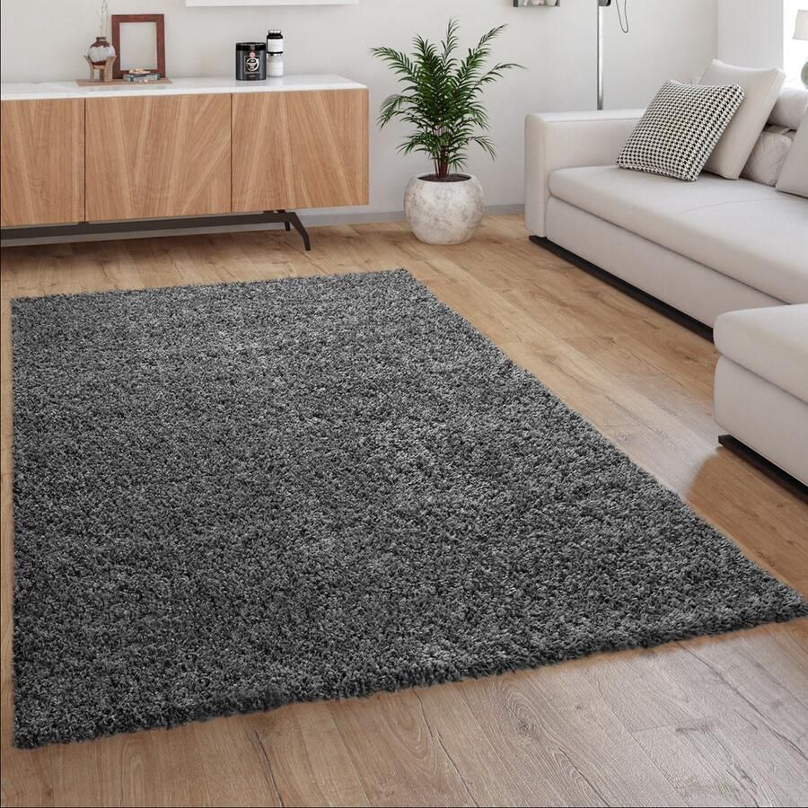 Paco Home Hoogpolig Vloerkleed Shaggy Voor Woonkamer Zacht Pluizig Bestendig Sterk 120x170 cm