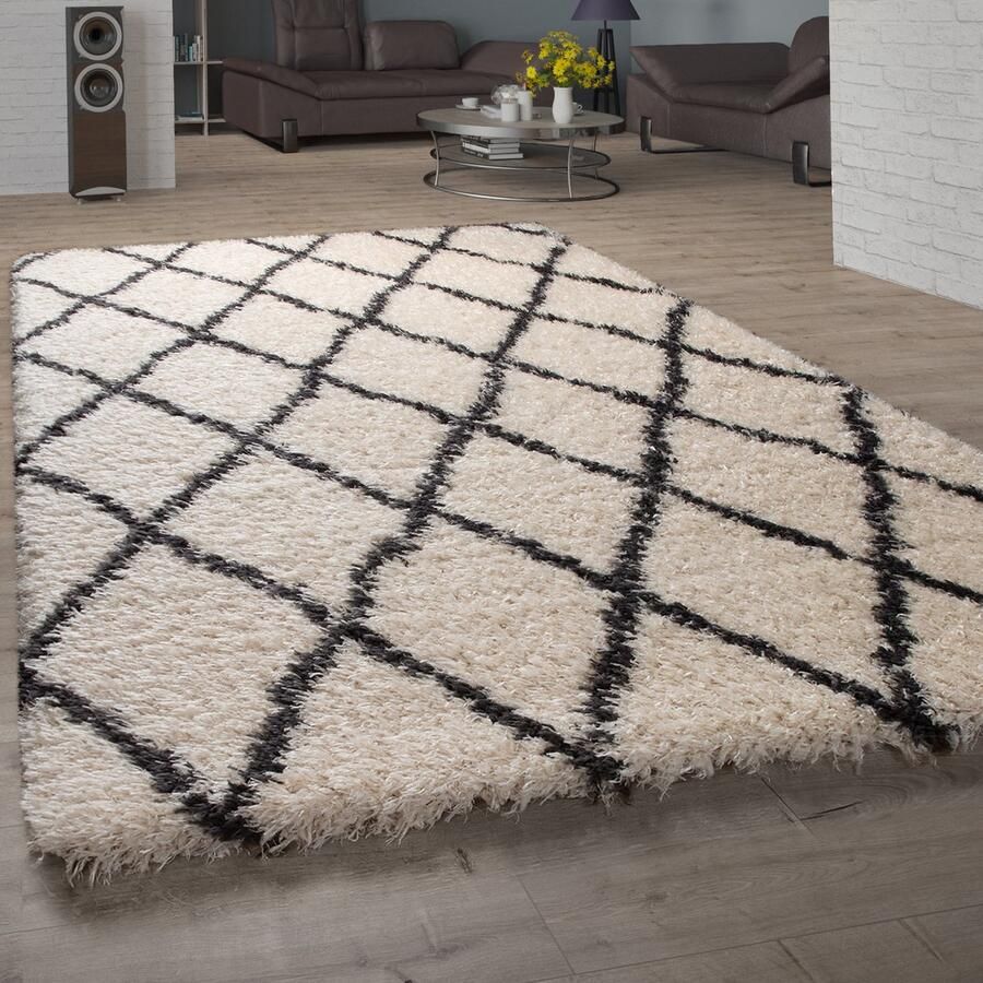Paco Home Hoogpolig vloerkleed voor de woonkamer shaggy in Scandinavische look verschillende maten en kleuren 120x160 cm