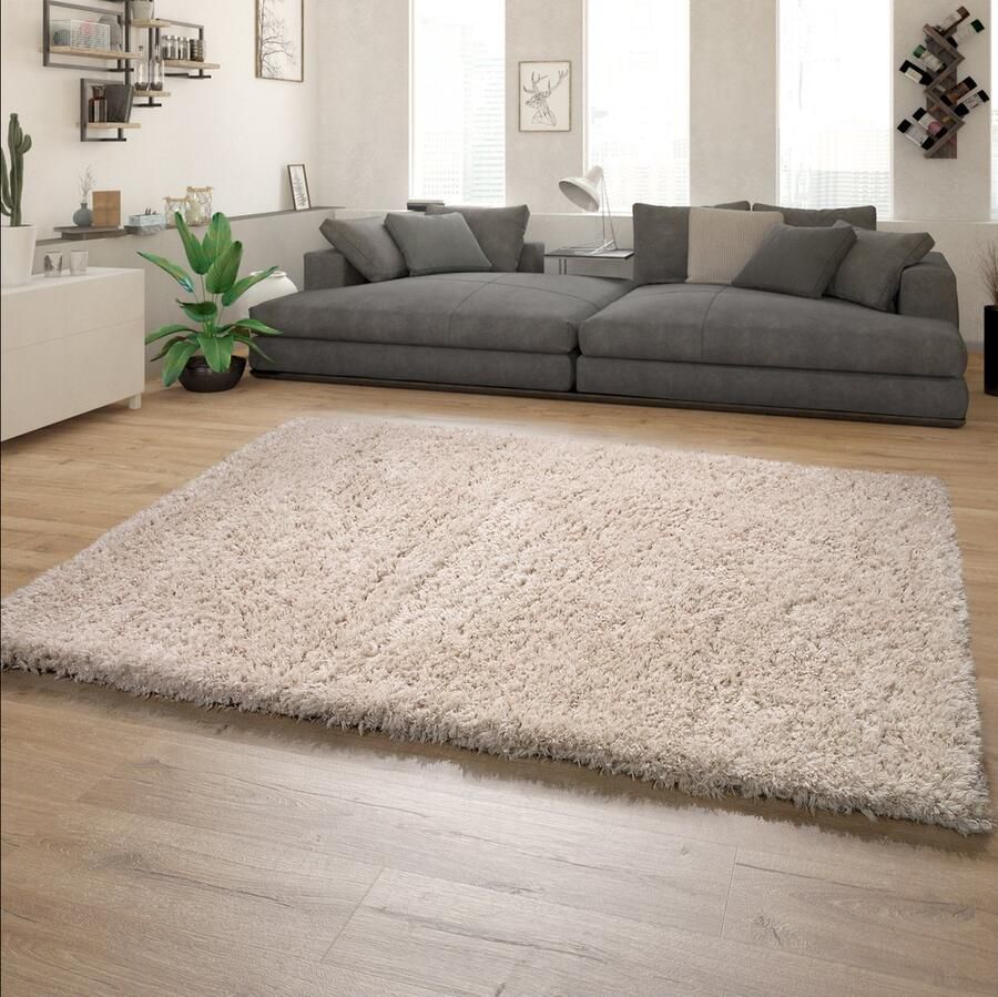 Paco Home Hoogpolig Vloerkleed Woonkamer Shaggy Langpolig Modern Eenkleurig Patroon 200x290 cm