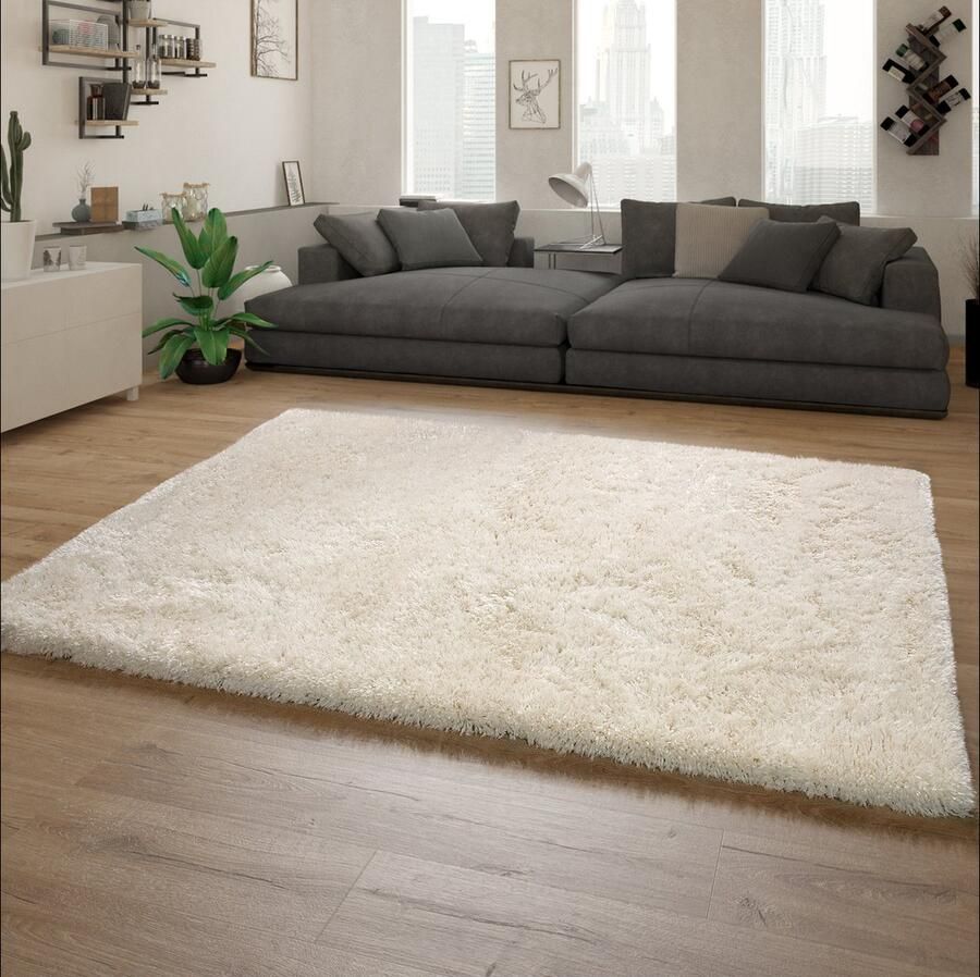 Paco Home Hoogpolig Vloerkleed Woonkamer Shaggy Langpolig Modern Eenkleurig Patroon 200x290 cm