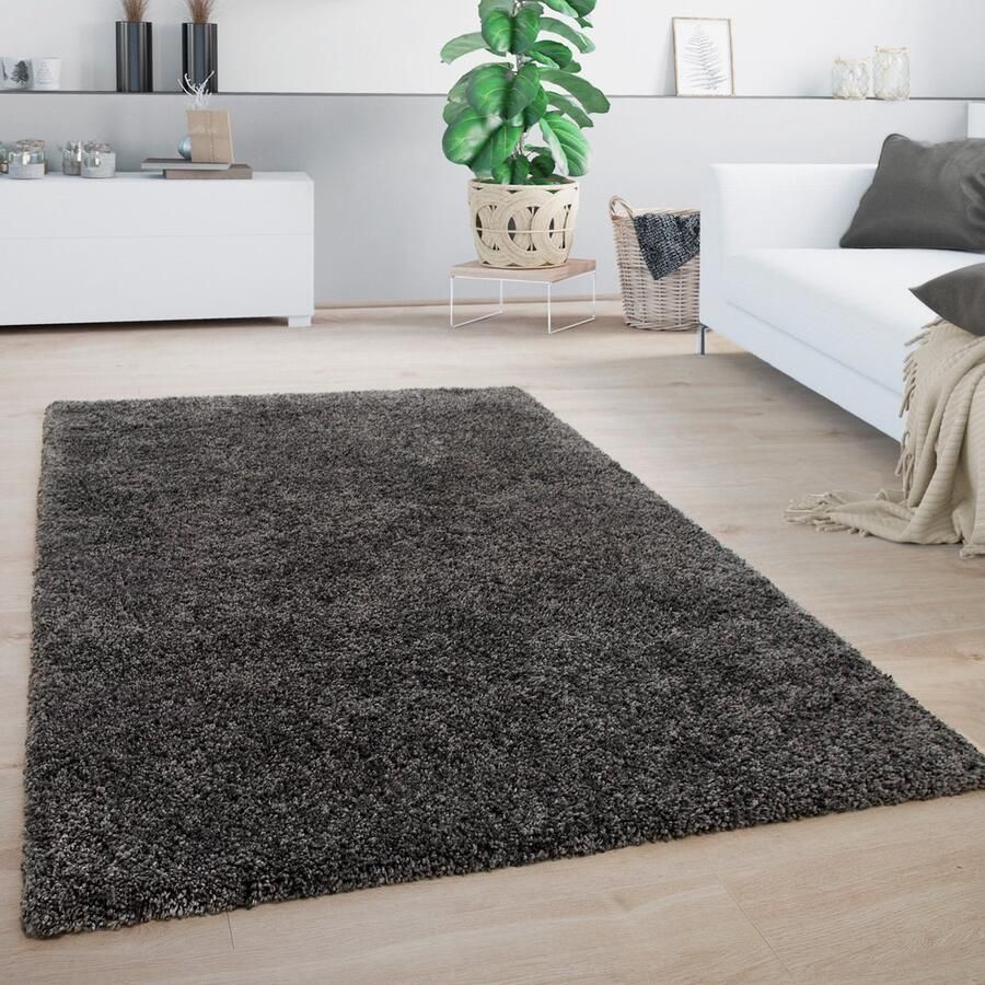 Paco Home Hoogpolig Vloerkleed Woonkamer Shaggy Pluizig Modern Zacht 60x100 cm