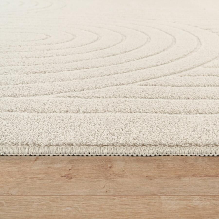 Paco Home Hoogpolig Vloerkleed Woonkamer Shaggy Scandinavisch Boho Regenboog Beige 200x280 cm