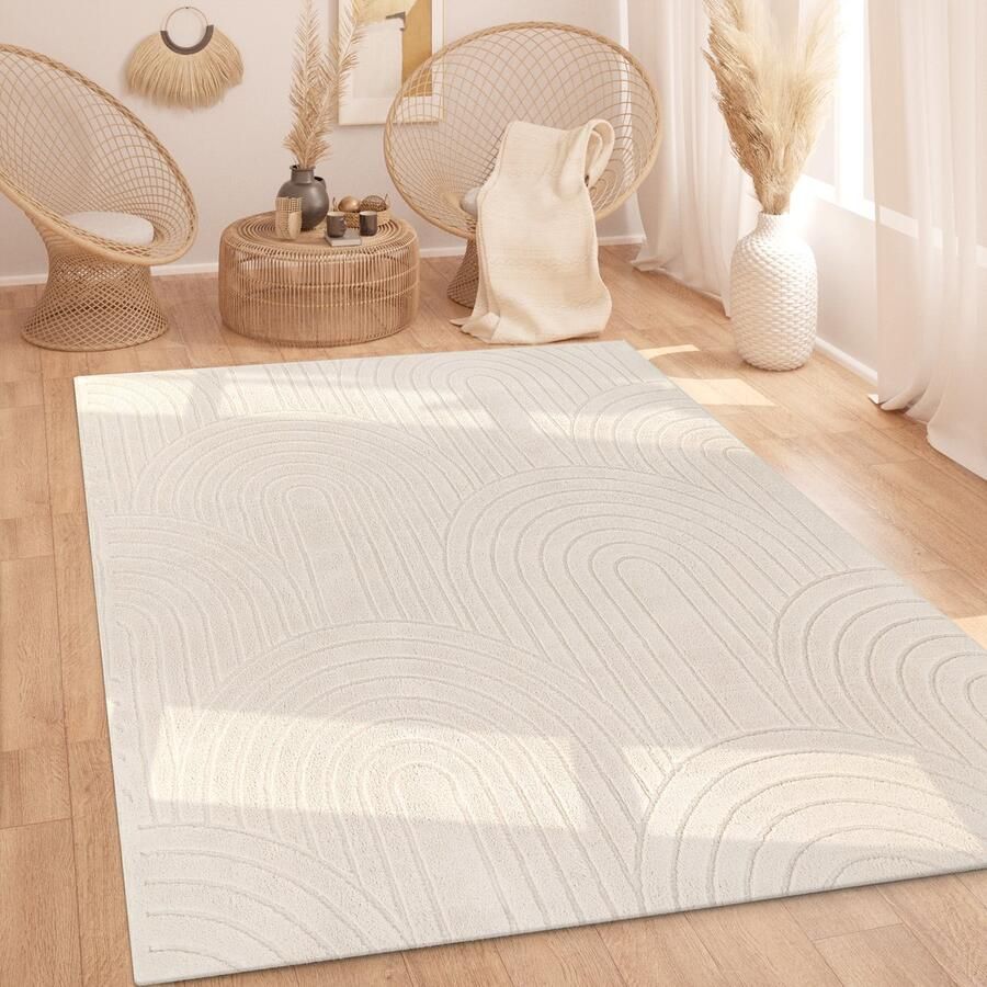 Paco Home Hoogpolig Vloerkleed Woonkamer Shaggy Scandinavisch Boho Regenboog Beige 240x340 cm