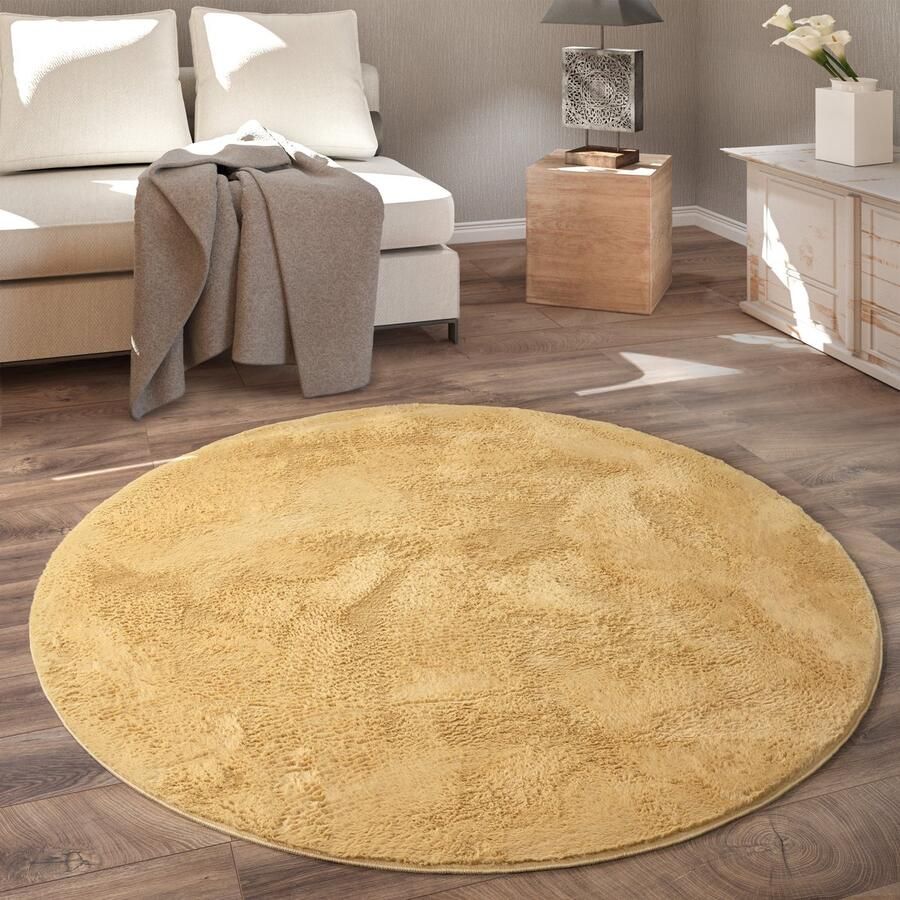 Paco Home Rond Vloerkleed Hoogpolig Tapijt Woonkamer Kinderkamer Fluffy Pluche Zacht Pluizig Modern Ø 160 cm Rund