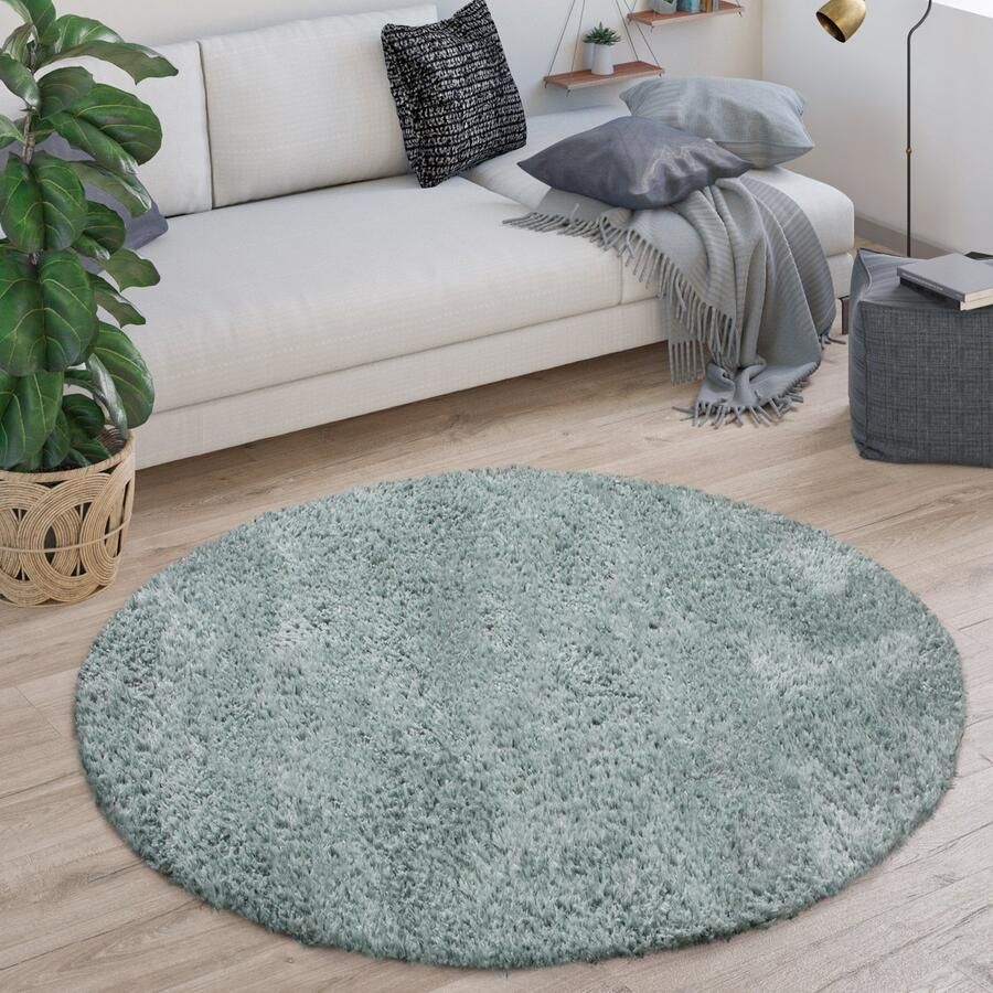 Paco Home Vloerkleed Rond Hoogpolig Woonkamer Shaggy Langpolig Pluizig Modern Eenkleurig 200 cm Rund