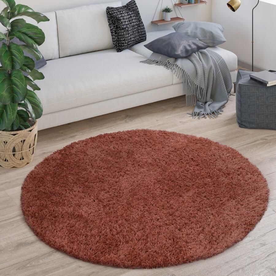 Paco Home Vloerkleed Rond Hoogpolig Woonkamer Shaggy Langpolig Pluizig Modern Eenkleurig 120 cm Rund