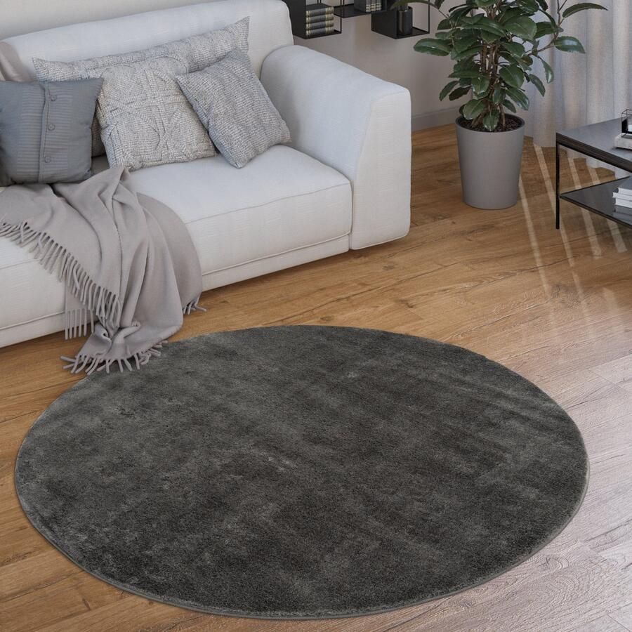 Paco Home Vloerkleed Rond Woonkamer Laagpolig Modern Pluizig Wasbaar Eenkleurig 160 cm Rund