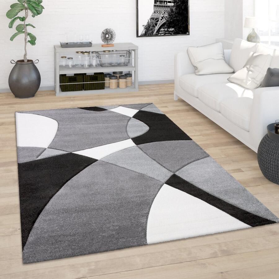 Paco Home Vloerkleed Woonkamer Laagpolig Modern 3D Look Contour Gesneden Abstract Patroon 80x150 cm
