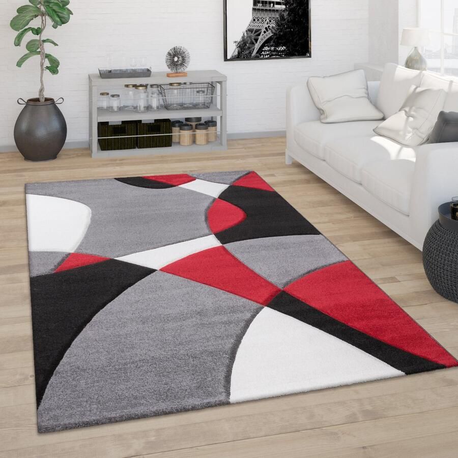 Paco Home Vloerkleed Woonkamer Laagpolig Modern 3D Look Contour Gesneden Abstract Patroon 80x150 cm