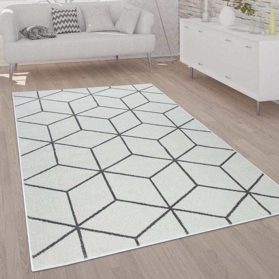 Paco Home Vloerkleed Woonkamer Laagpolig Modern Scandinavische Stijl Ruit Grijs Wit 120x170 cm