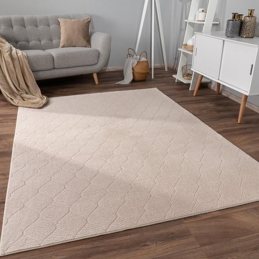 Paco Home Vloerkleed Woonkamer Laagpolig Patroon Scandinavisch Boho Patroon Geometrisch 240x340 cm