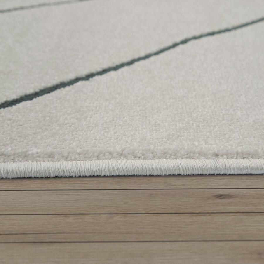 Paco Home Vloerkleed Woonkamer Scandi Ruit Patroon Modern Wit Verschillende dessins Maten 120 cm Rund