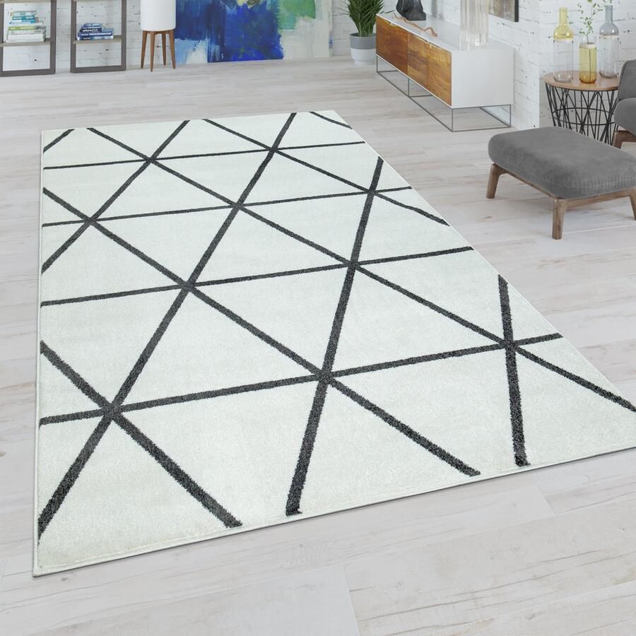 Paco Home Woonkamer Vloerkleed Moderne Pastelkleuren Scandinavische Stijl Ruitpatroon 70x250 cm
