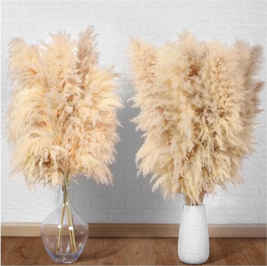 PEAM 10 Stuks Pampasgras Groot XXL Pampasgras Boho Decoratie 100 cm Gedroogde Bloemen Pampasgras Decoratie Natuurlijk en Pluizig Voor Vloer Vazen Tafel Bruiloft Woonkamer Slaapkamer - Foto 2