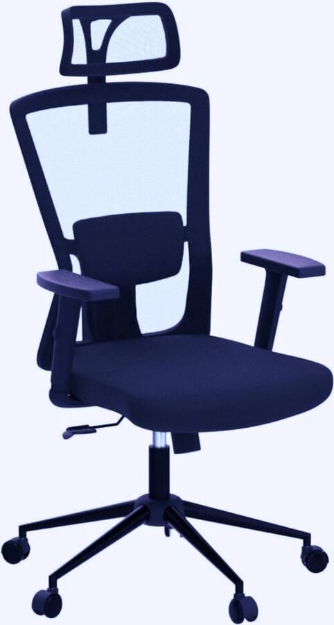 PEAM Ergonomische Bureaustoel Met Verstelbare Hoofdsteun Armleuningen En Lendensteun Comfortabele Office Chair Voor Thuis En Kantoor Met Hoge Rugleuning