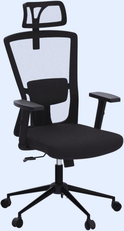PEAM Ergonomische Bureaustoel Met Verstelbare Hoofdsteun Armleuningen En Lendensteun – Comfortabel En Ondersteunend Voor Thuis En Kantoor