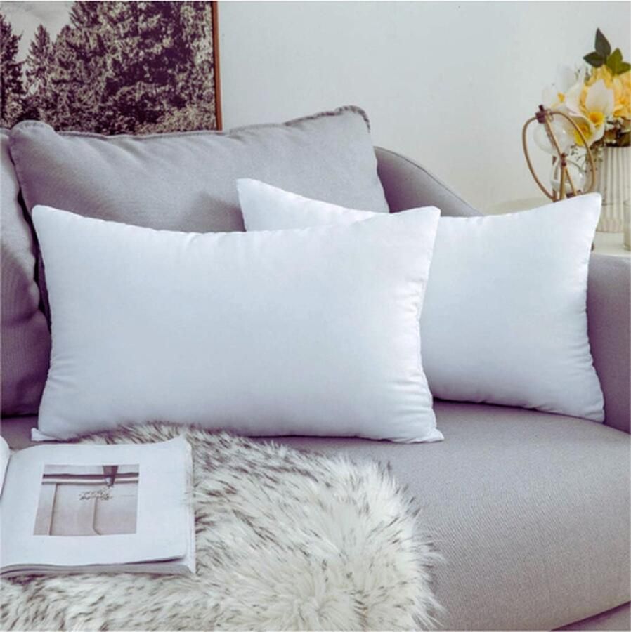 PEAM Kussens Set Van 2 Stuks Vulling 7D-Polyestermateriaal Sierkussen Binnenkussen Voor Bank Woonkamer Slaapkamer Bed 30 x 50 Cm 340 Gram Per Stuk