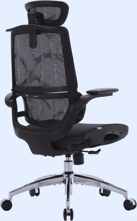 PEAM M59AS Ergonomische Bureaustoel Met 3D Opklapbare Armleuningen – Dubbel Rugleuningontwerp Dynamische Lendensteun Mesh Stoel Voor Thuiswerkplek Zwart