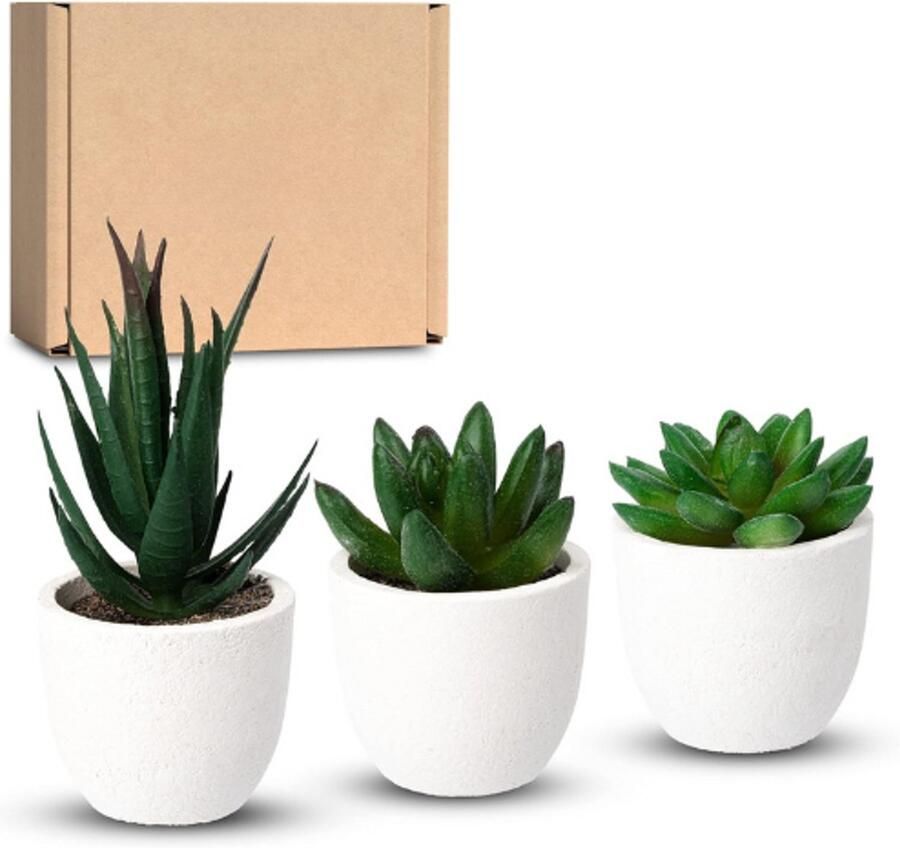 PEAM Kunstplanten Mini Set Van 3 In Witte Pot – Moderne Decoratieve Kunstbloemen En Vetplanten Voor Woonkamer Keuken Vensterbank Bureau Wanddecoratie En Slaapkamer