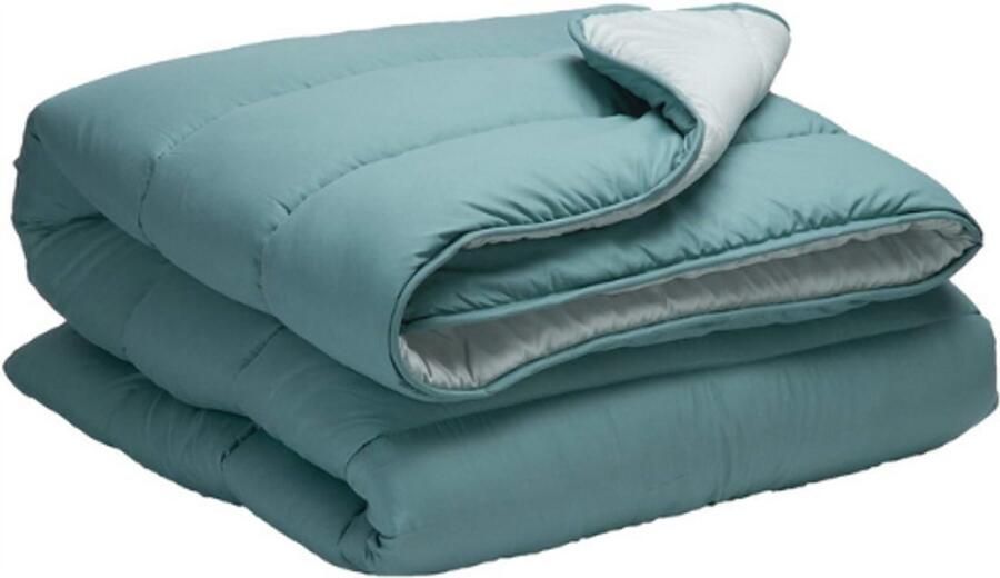 PEAM Omkeerbaar Dekbed 150X220 Cm – 300 G Tweekleurig – Warm Ademend Dekbed Voor Bedden Van 90 Cm – Groen