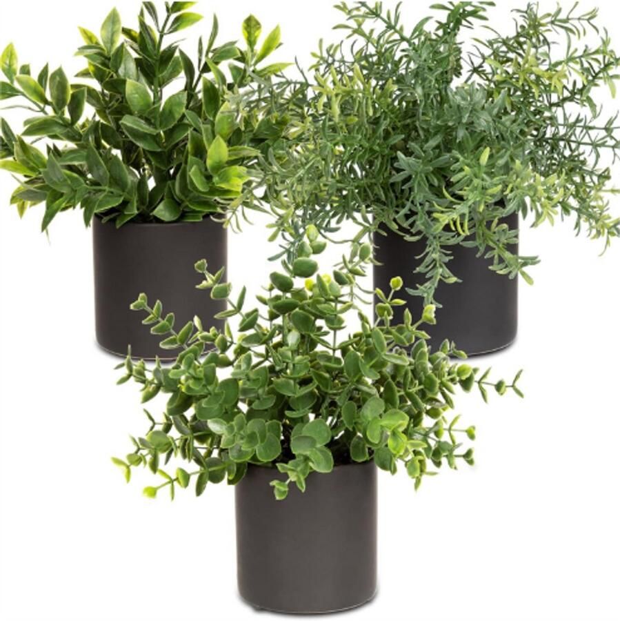 PEAM Set Van 3 Kunstplanten In Keramische Pot Eucalyptus & Rozemarijn Realistisch & Onderhoudsvrij Woonkamer Badkamer & Bureau Decoratie