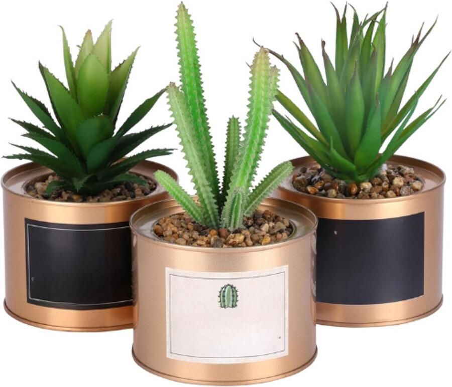 PEAM Set Van 3 Mini Kunstplanten In Koper Metalen Potten 10 X 7 5 Cm Nep Vetplanten En Cactussen Decoratieve Kunstplantjes Voor Huisdecoratie En Kantoor Bureau En Tafeldecoratie