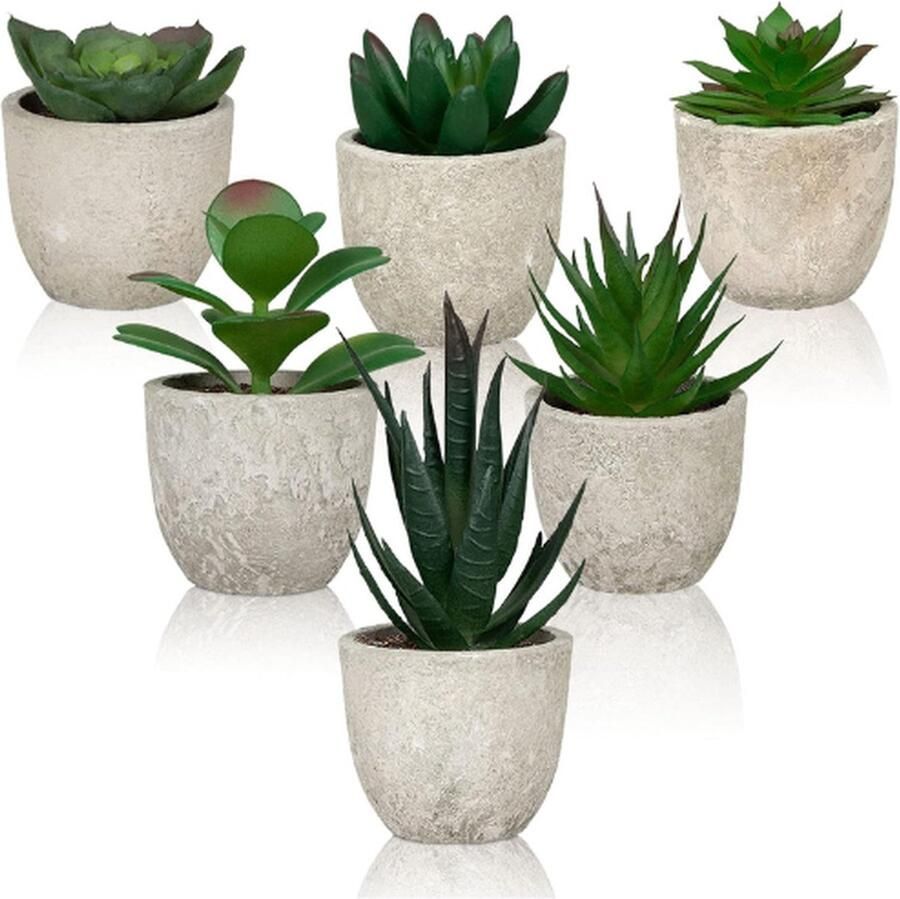 PEAM Set Van 6 Kunstmatige Vetplanten Voor Binnen – Decoratieve Nepplanten In Potten Voor Kantoor Badkamer Bureau En Slaapkamer