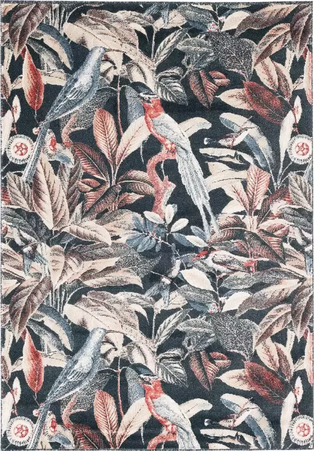 Pergamon Design vloerkleed tapijt retro Montana vogels