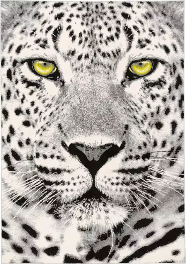 Pergamon Vloerkleed Design tapijt Carat Gepard