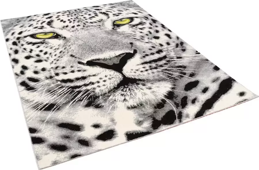 Pergamon Vloerkleed Design tapijt Carat Gepard - Foto 2