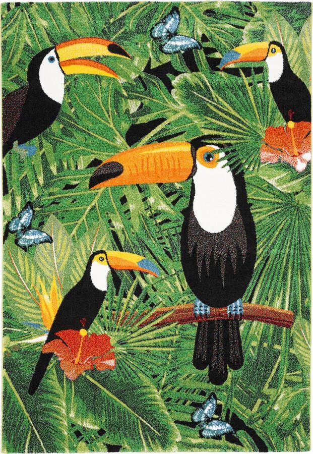 Pergamon Vloerkleed Designer Faro Tropical Toucan
