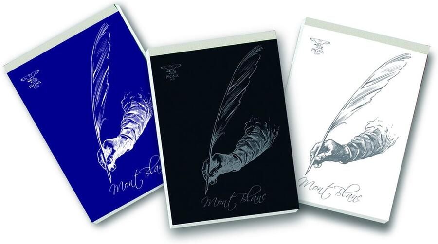 Pigna 02291215M schrijfblok & schrift A4 Meerkleurig