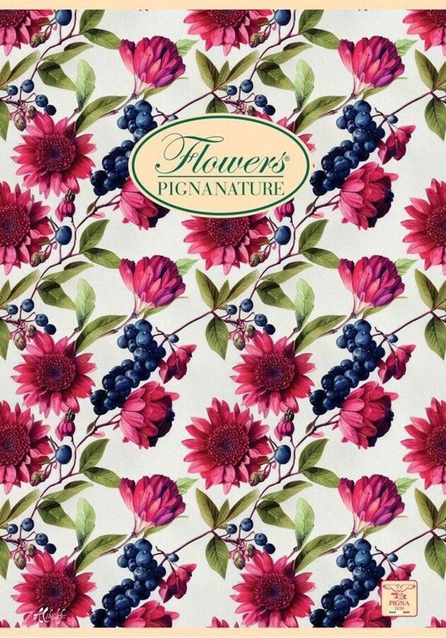 Pigna 02298851R schrijfblok & schrift A4 40 vel Meerkleurig