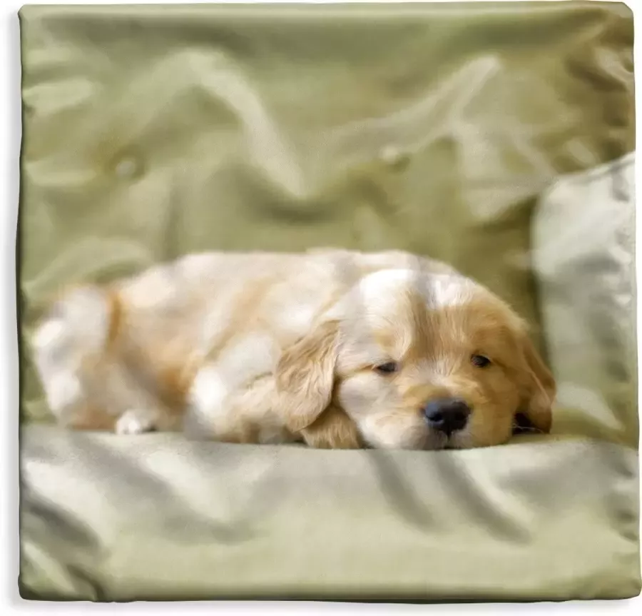 PillowMonkey Kussenhoes 40x40 cm Een slapende Golden Retriever puppy op de bank Katoen Polyester Voor Binnen