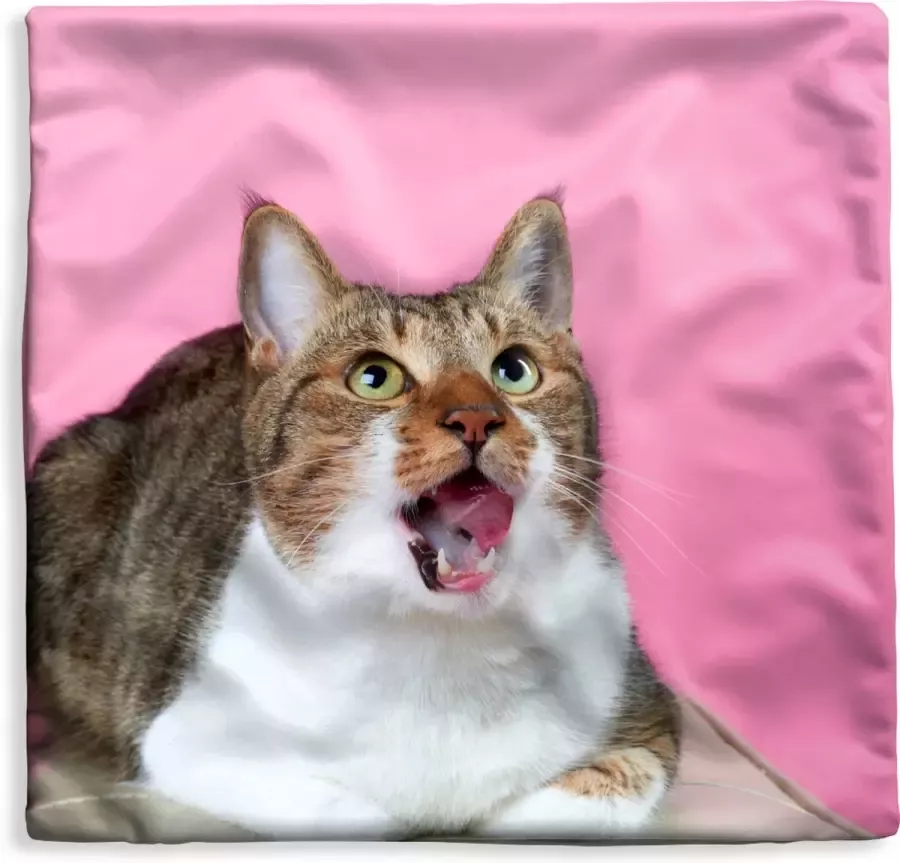 PillowMonkey Kussenhoes 40x40 cm Kat Roze Poef Meisjes Kinderen Meiden Kind Katoen Polyester Voor Binnen