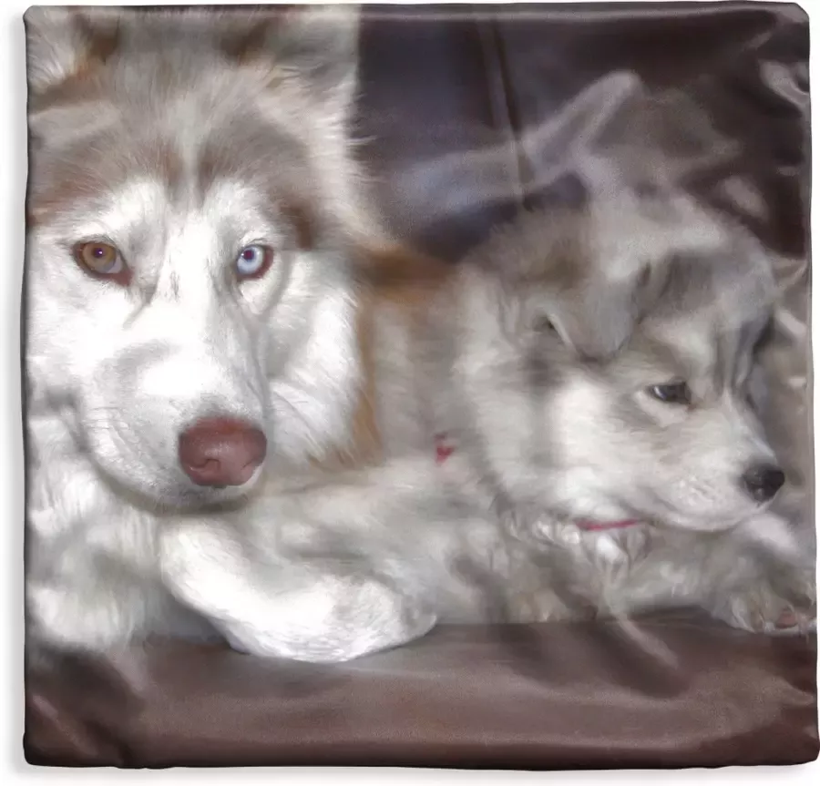 PillowMonkey Kussenhoes 45x45 cm Grote hond met een pup op de bank Katoen Polyester Voor Binnen