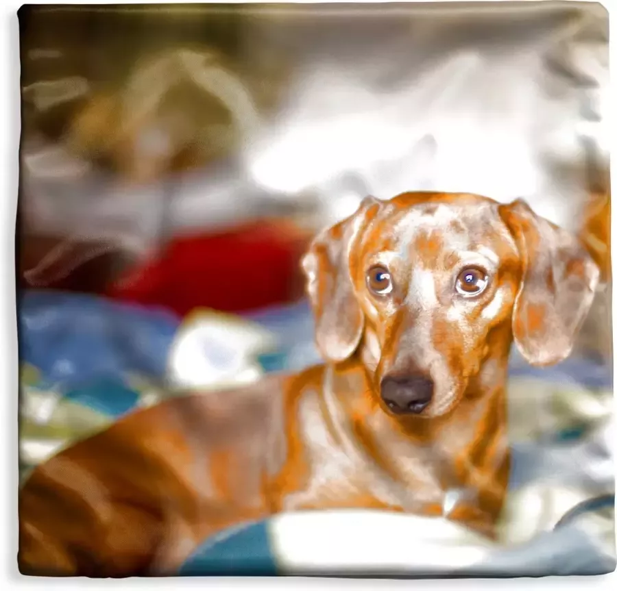 PillowMonkey Kussenhoes 45x45 cm Teckel die op een bed ligt Katoen Polyester Voor Binnen