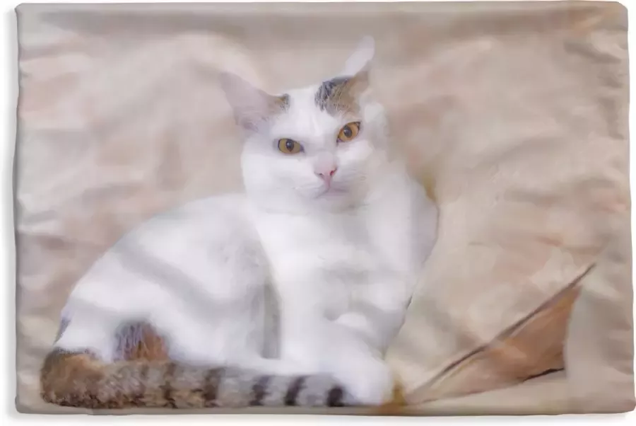 PillowMonkey Kussenhoes 50x30 cm Kat Wit Bank Meisjes Kinderen Jongens Kids Katoen Polyester Voor Binnen