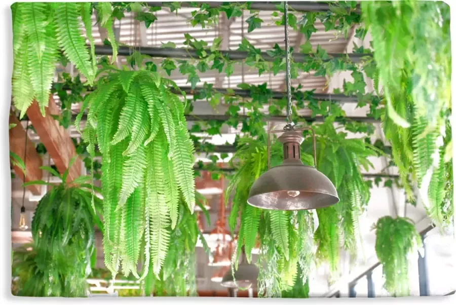 PillowMonkey Kussenhoes 50x30 cm Lampen en planten Katoen Polyester Voor Binnen