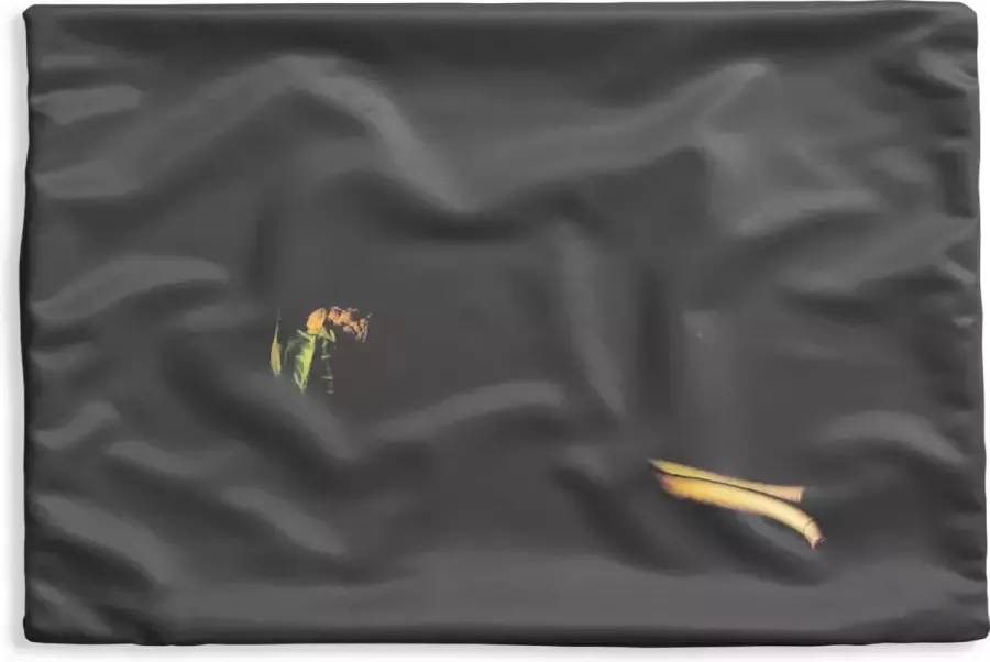 PillowMonkey Kussenhoes 50x30 cm Stilleven Tafel Schilderij Groenten Prei Bloemkool Kunst Katoen Polyester Voor Binnen