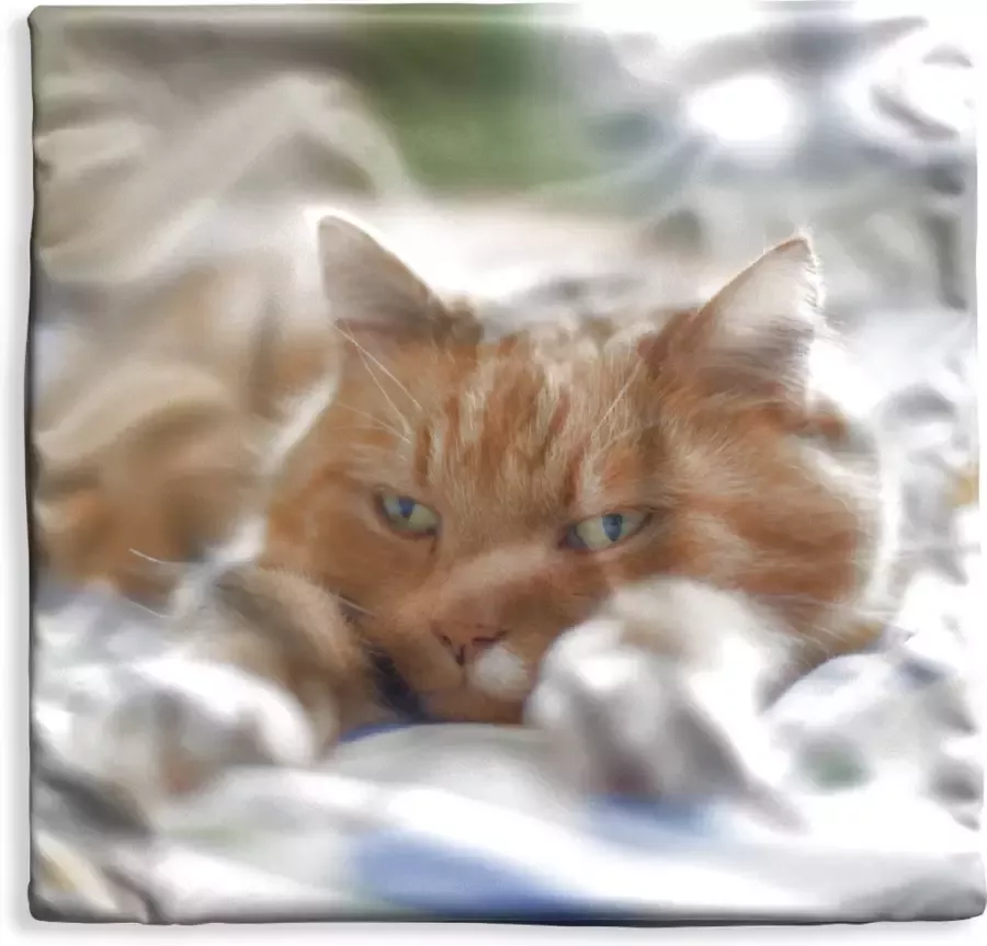 PillowMonkey Kussenhoes 50x50 cm Kat Bed Bedsprei Meisjes Kinderen Jongens Kind Katoen Polyester Voor Binnen