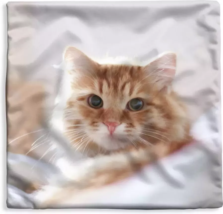 PillowMonkey Kussenhoes 50x50 cm Kat Rood Bed Meisjes Kinderen Jongens Kids Katoen Polyester Voor Binnen