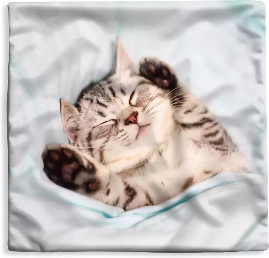 PillowMonkey Kussenhoes 50x50 cm Kitten Bed Poten Meisjes Kinderen Jongens Kind Katoen Polyester Voor Binnen