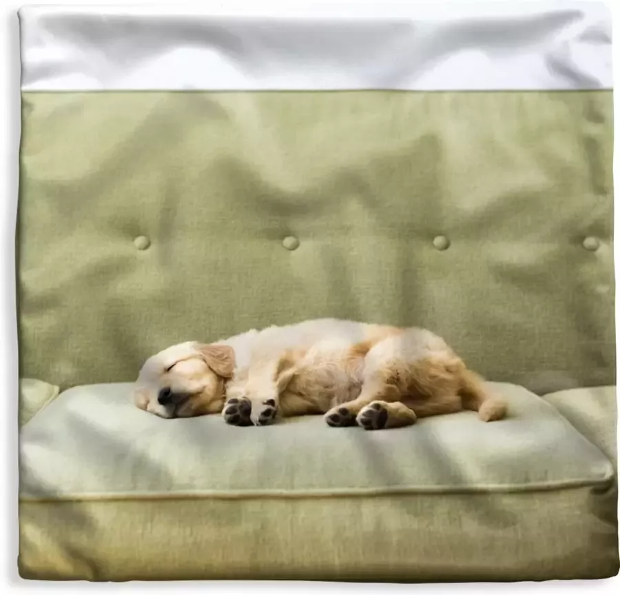PillowMonkey Kussenhoes 50x50 cm Slapende puppy op de bank Katoen Polyester Voor Binnen