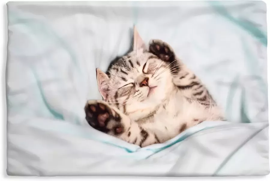 PillowMonkey Kussenhoes 60x40 cm Kitten Bed Poten Meisjes Kinderen Jongens Kind Katoen Polyester Voor Binnen