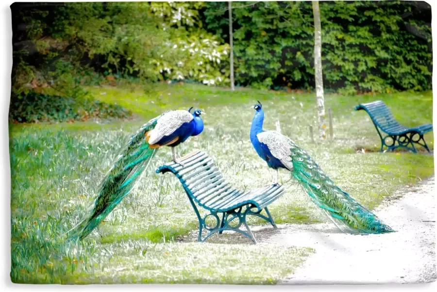 PillowMonkey Kussenhoes 60x40 cm Pauw Bank Park Katoen Polyester Voor Binnen