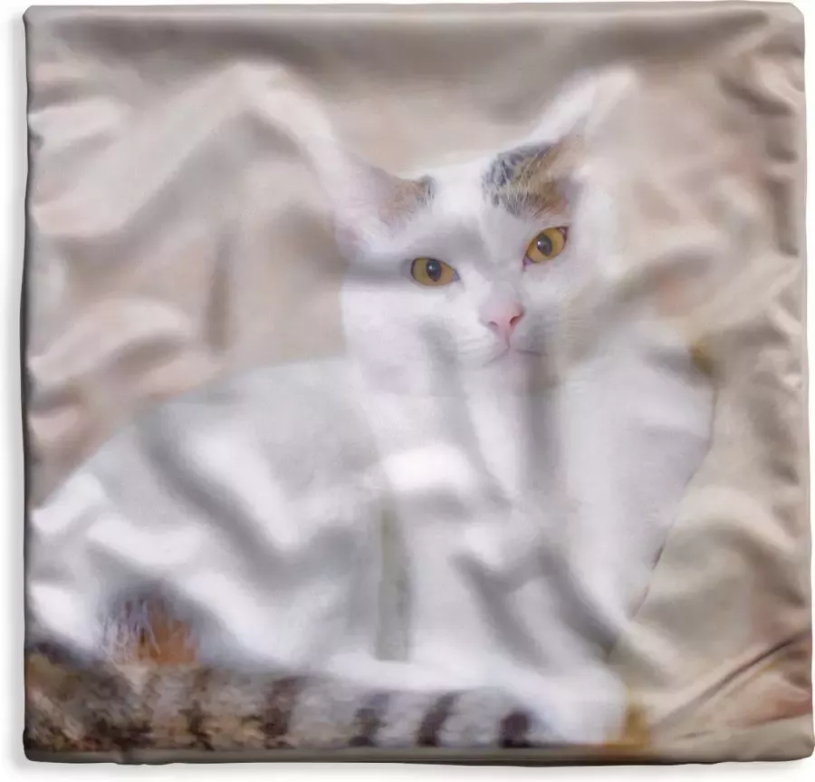 PillowMonkey Kussenhoes 60x60 cm Kat Wit Bank Meisjes Kinderen Jongens Kids Katoen Polyester Voor Binnen